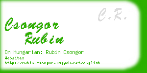 csongor rubin business card